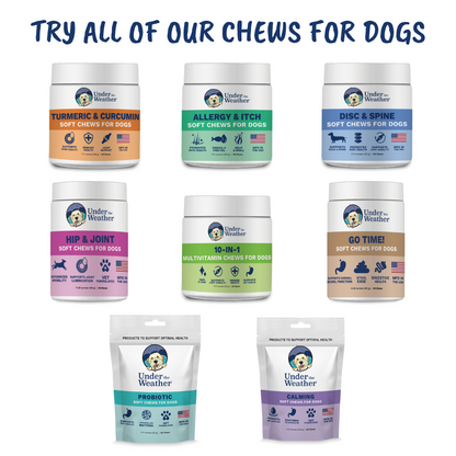 Disc and Spine Chews For Dogs