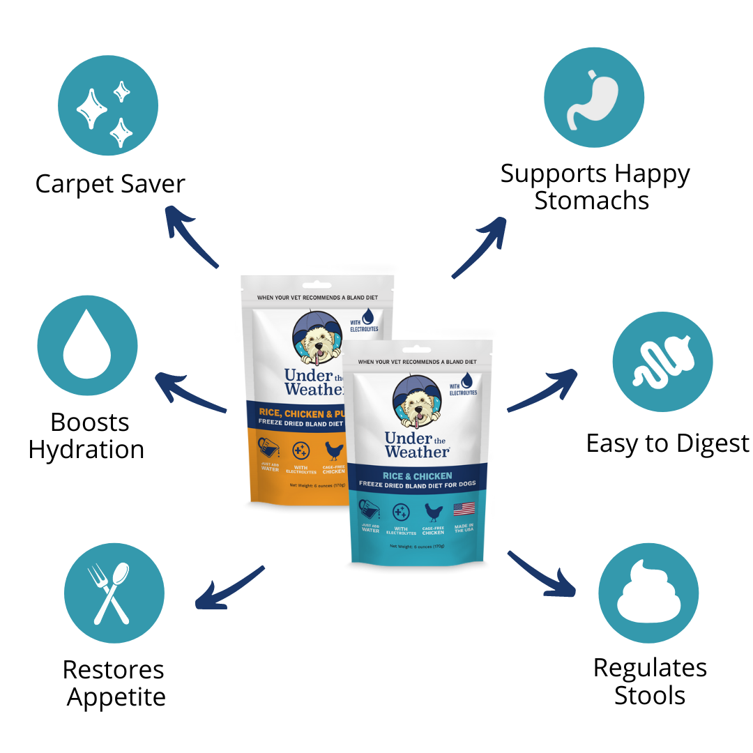Anti-Diarrhea Bundle For Dogs