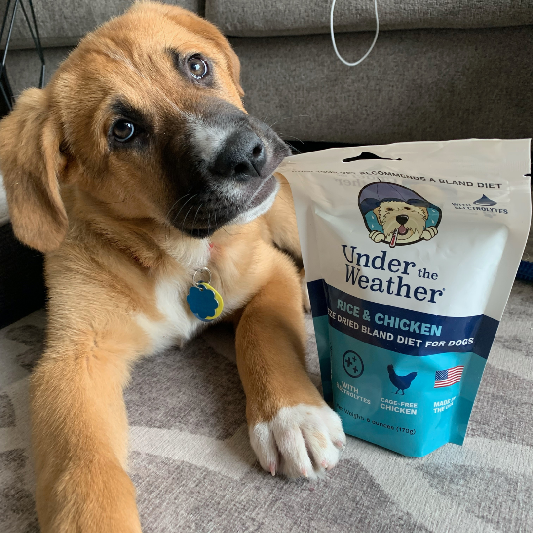 Anti-Diarrhea Bundle For Dogs