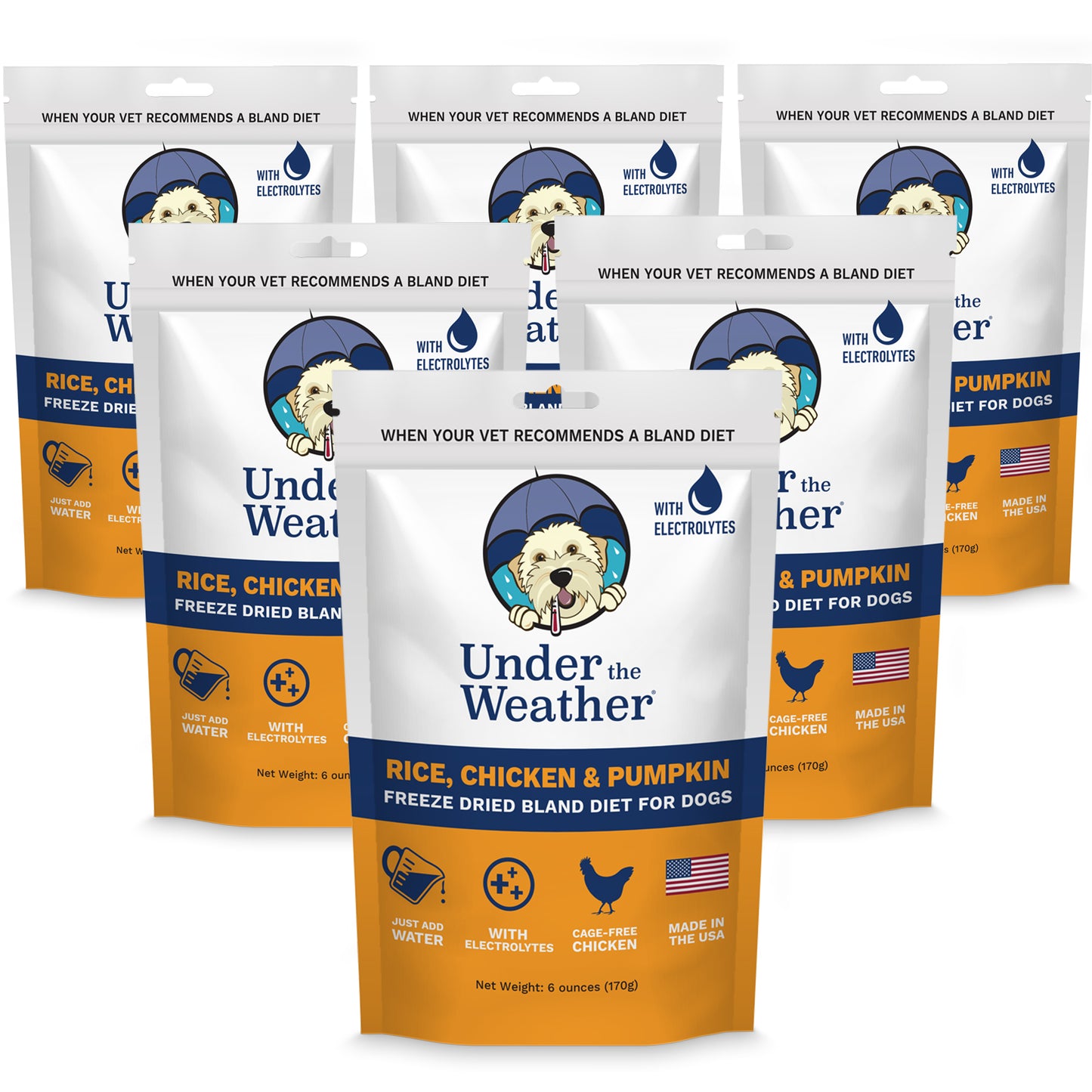 Chicken, Rice, & Pumpkin Bland Diet For Dogs - 6 Pack