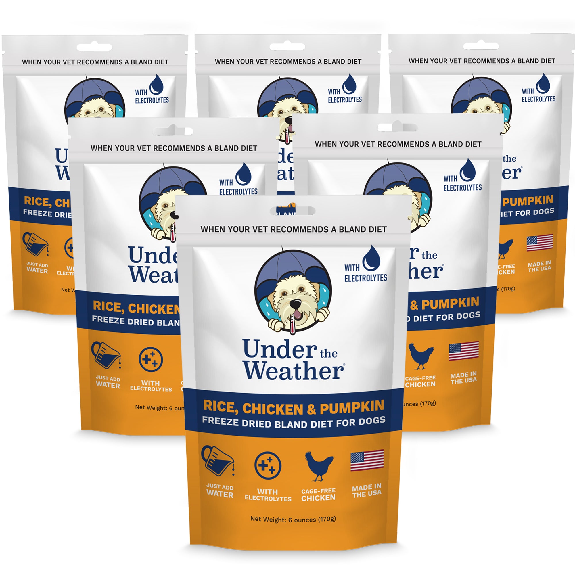 Chicken, Rice, & Pumpkin Bland Diet For Dogs - 6 Pack