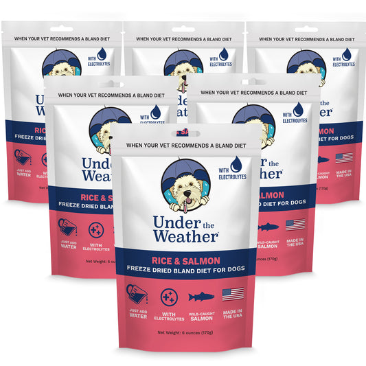 Salmon & Rice Bland Diet For Dogs - 6 pack