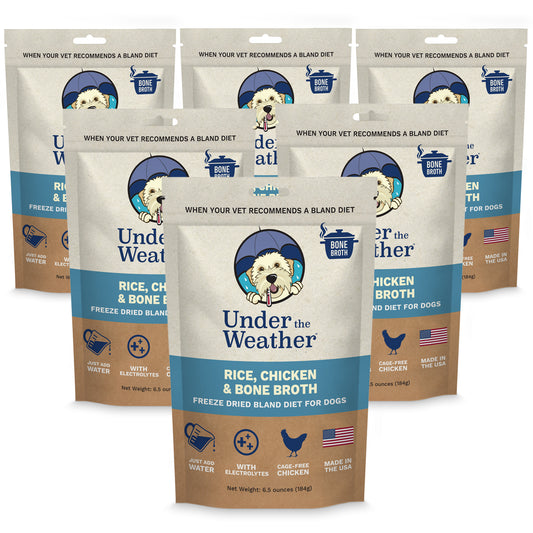 Chicken, Rice, & Bone Broth Bland Diet For Dogs - 6 pack