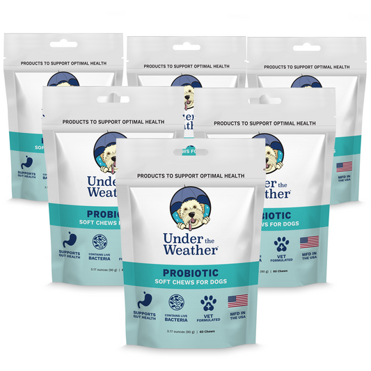 Probiotic Soft Chews For Dogs - 6 Pack