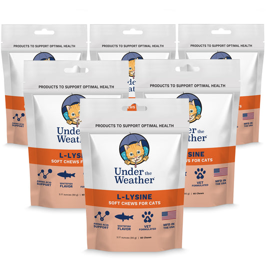 L-Lysine Soft Chews For Cats - 6 Pack
