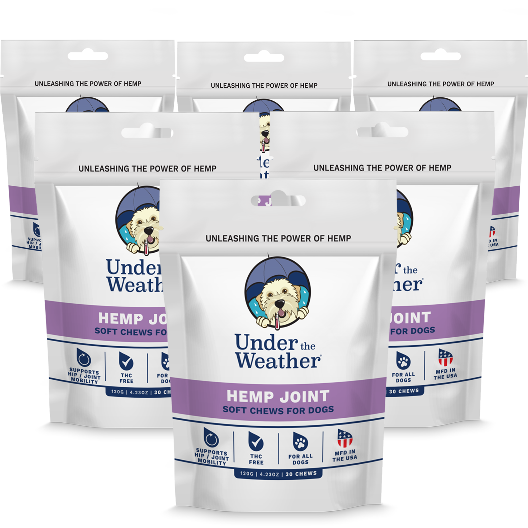 Hemp Hip & Joint Soft Chews For Dogs - 6 Pack