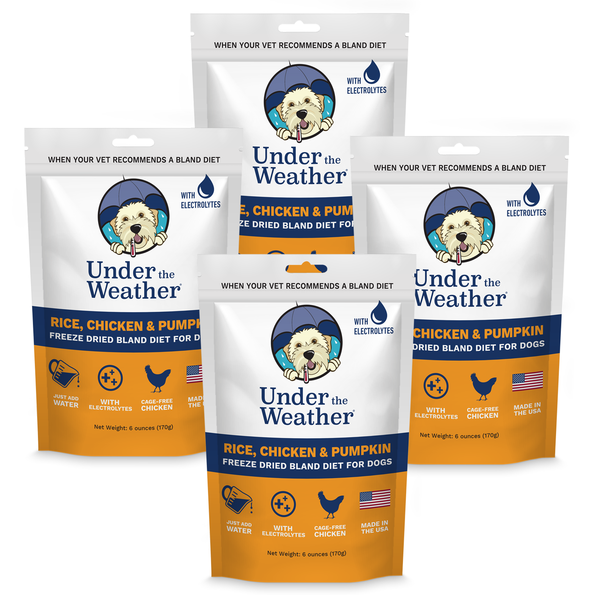 Pumpkin Patch Pack - Bland Diet For Dogs