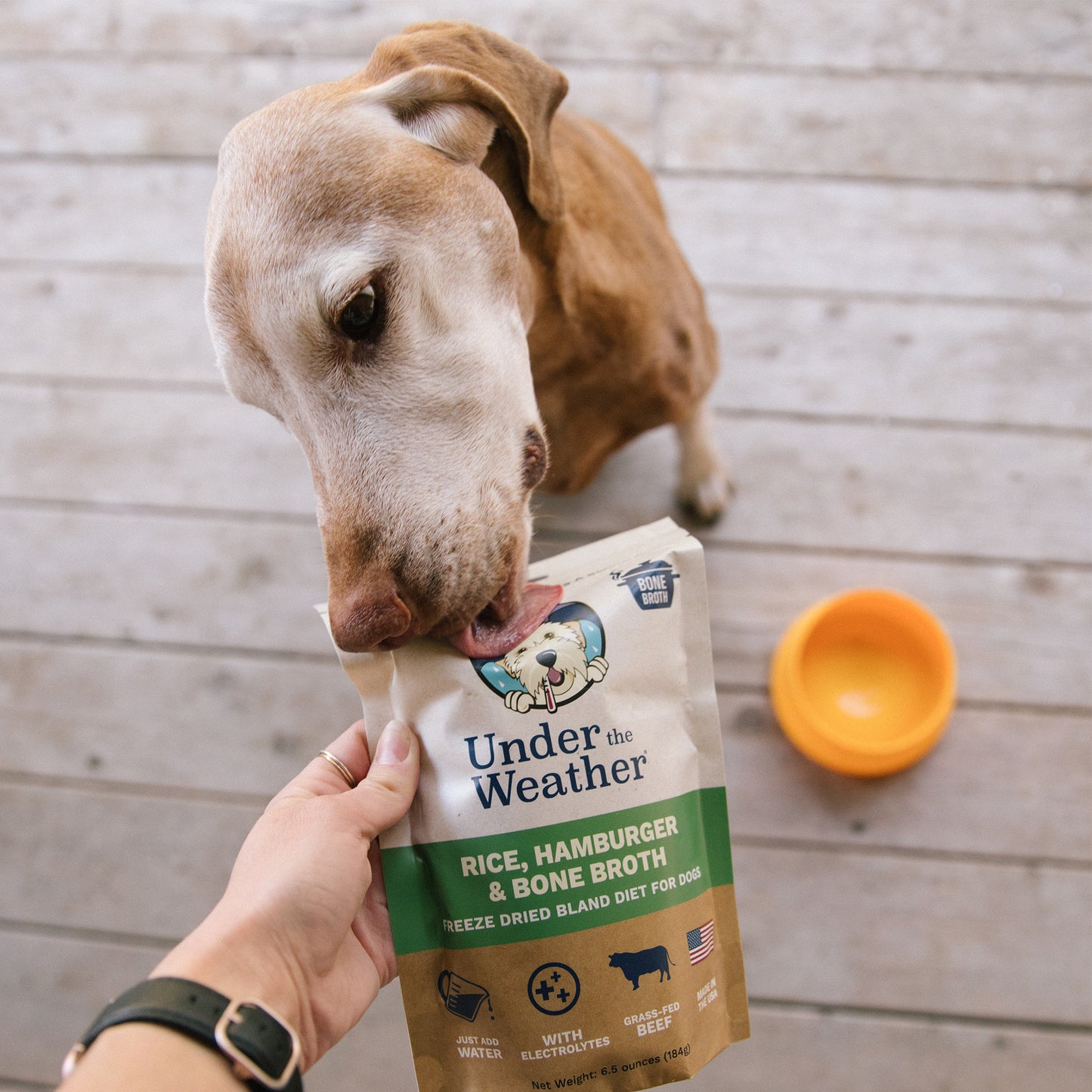 Bone Broth Bland Diet Bundle