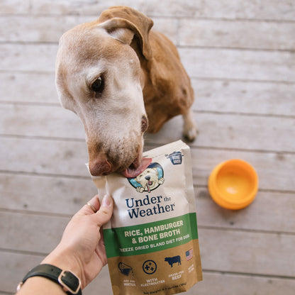 Bone Broth Bland Diet Bundle