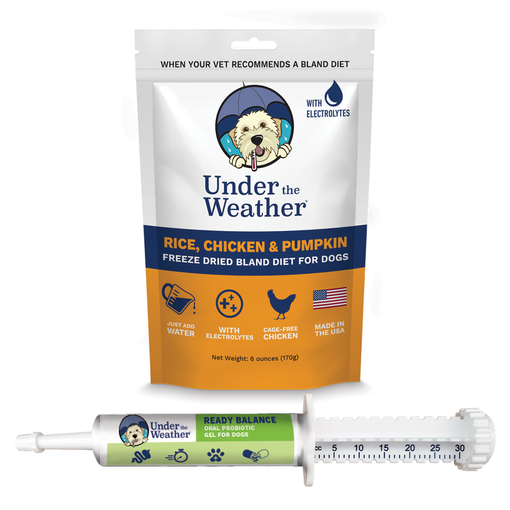 Chicken, Rice, and Pumpkin Bland Diet & Ready Balance Probiotic Gel For Dogs