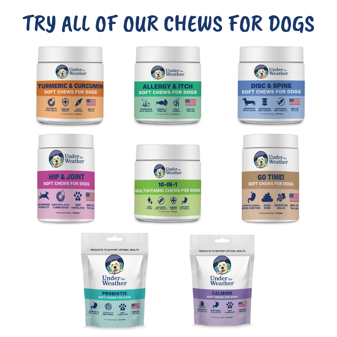 10-in-1 Multivitamin Chews for Dogs