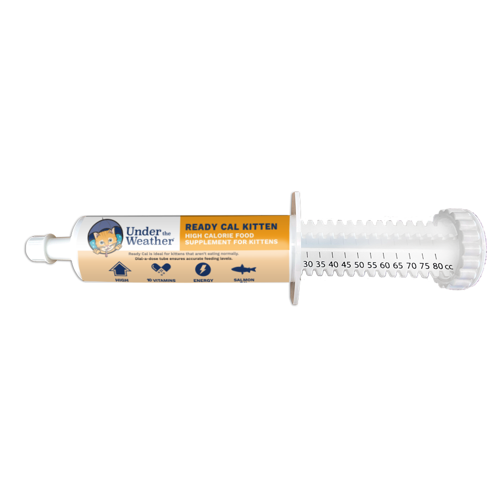 Ready Cal™ High-Calorie Supplement For Kittens - 80cc