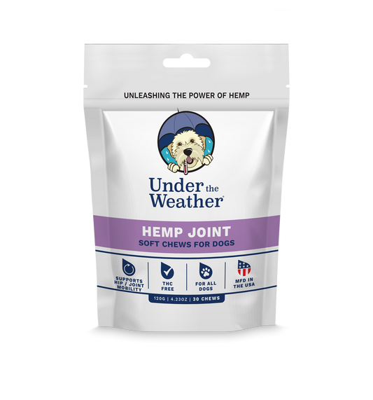 Hemp Hip & Joint Soft Chews For Dogs