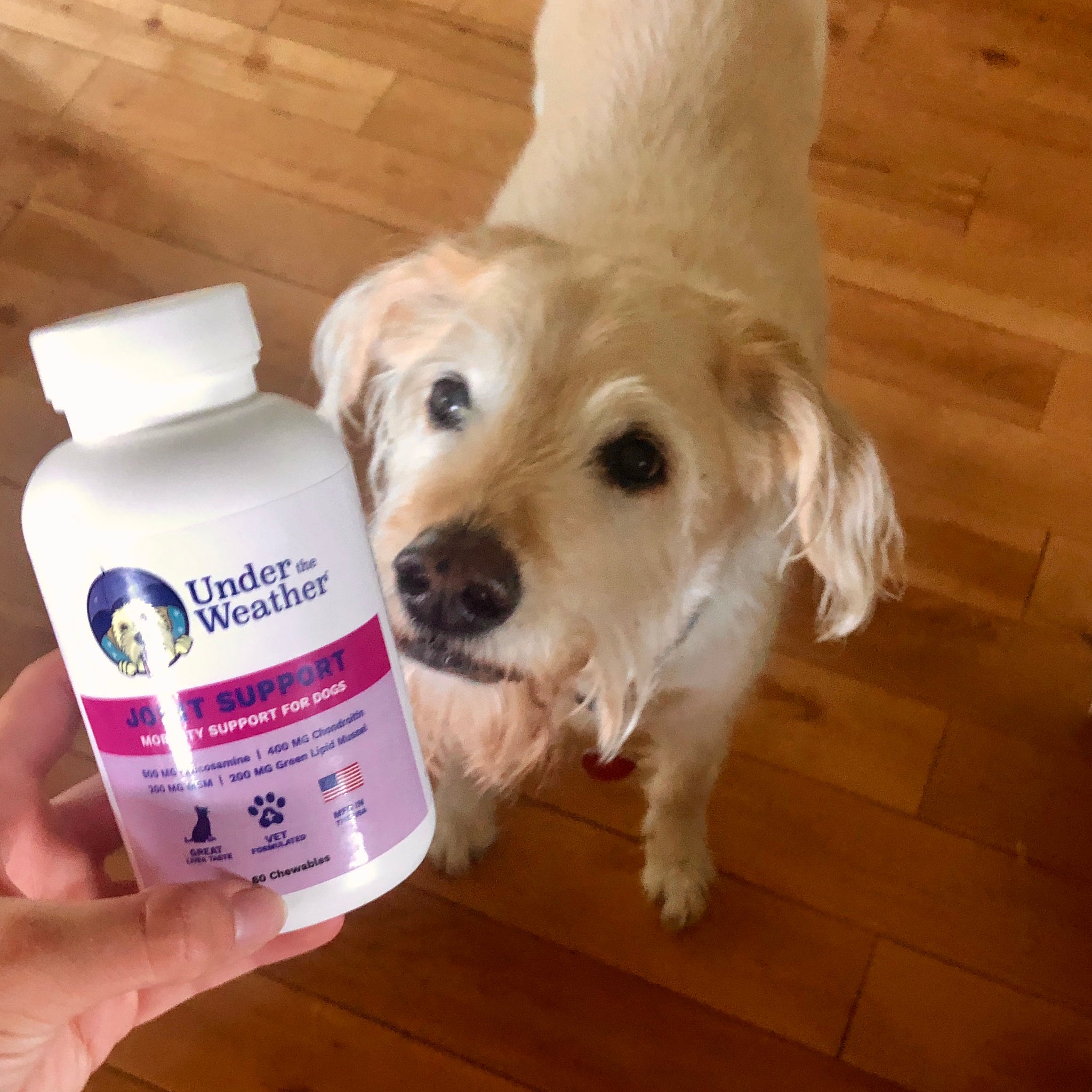Joint Support Chewable Tablets For Dogs
