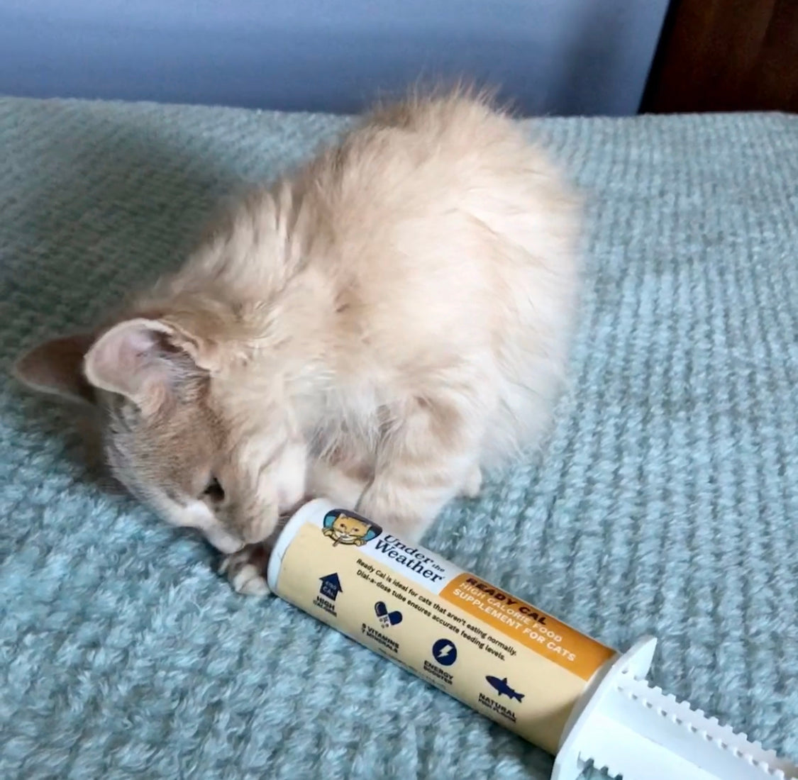 Ready Cal + Ready Balance Gel Supplement Bundle For Cats