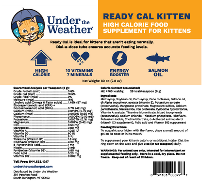 High calorie kitten supplement cheap