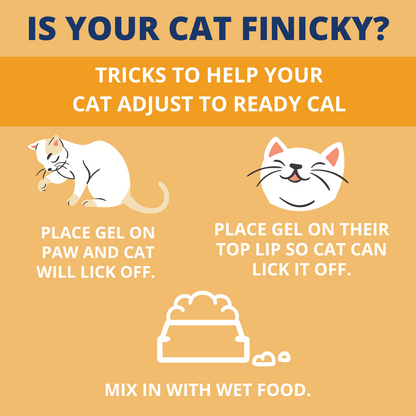 Cat sales calorie booster