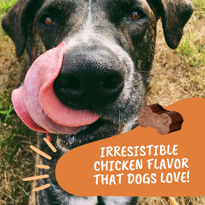 Turmeric & Curcumin Soft Chews for Dogs