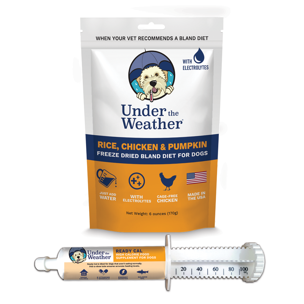 Ready Cal High Calorie Supplement + Chicken, Rice and Pumpkin Bland Diet Bundle