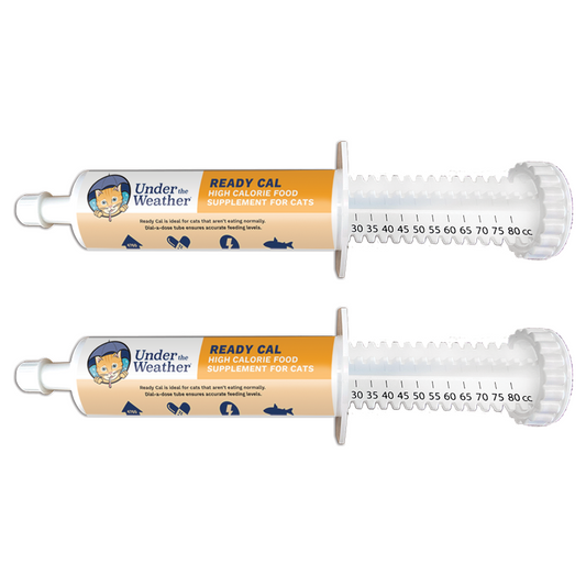 Ready Cal High-Calorie Supplement For Cats - 80cc - 2 Pack