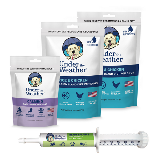 Travel Bundle For Dogs