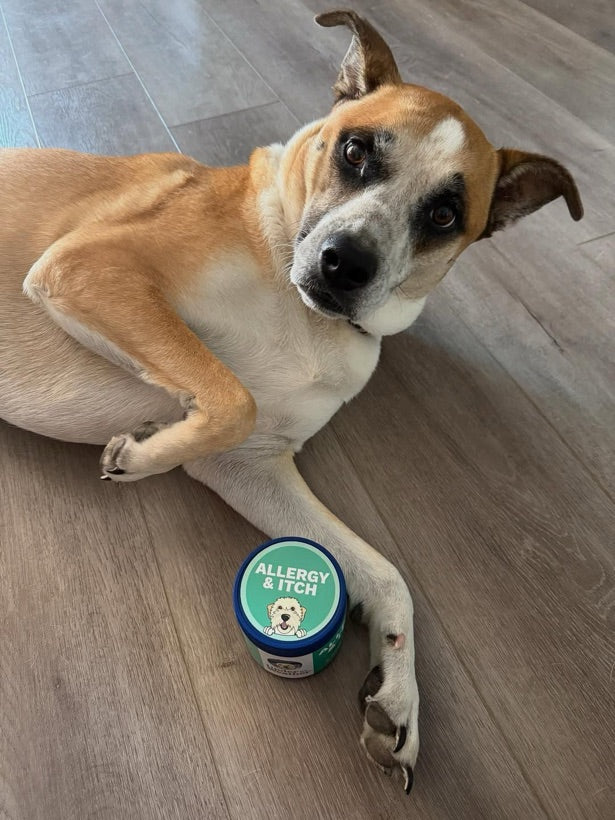 Under the Weather Pet customer photo — a pet with the product
