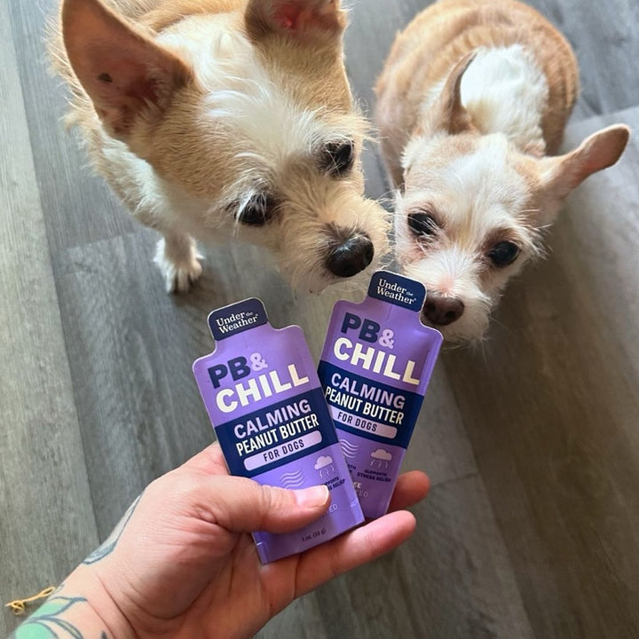 Under the Weather Pet customer photo — a pet with the product
