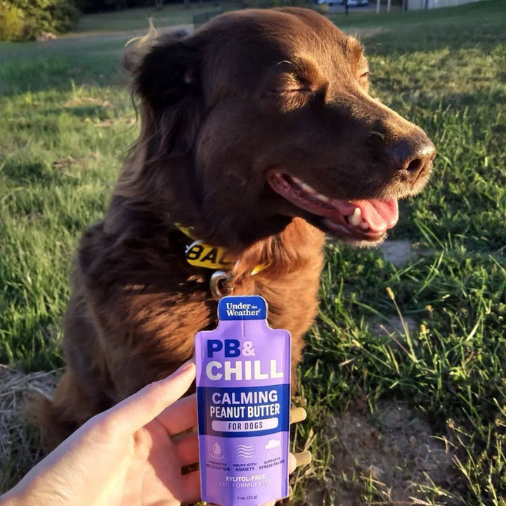 Under the Weather Pet customer photo — a pet with the product