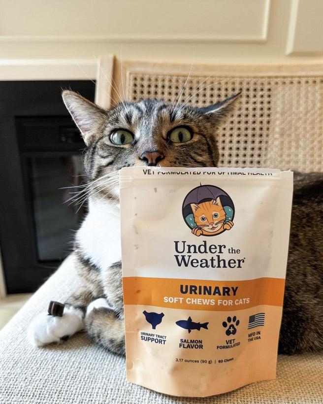 Under the Weather Pet customer photo — a pet with the product