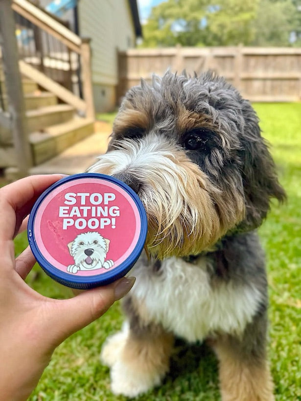 Under the Weather Pet customer photo — a pet with the product